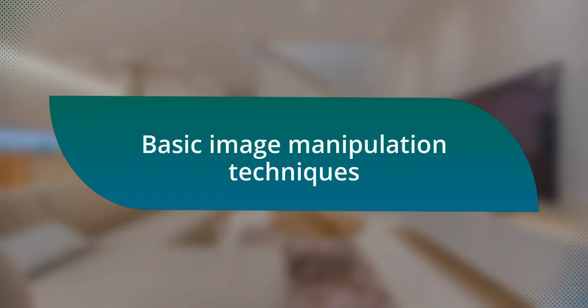 Basic image manipulation techniques