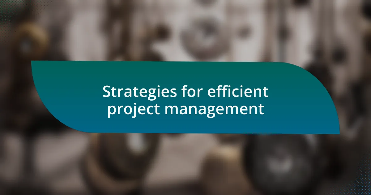 Strategies for efficient project management